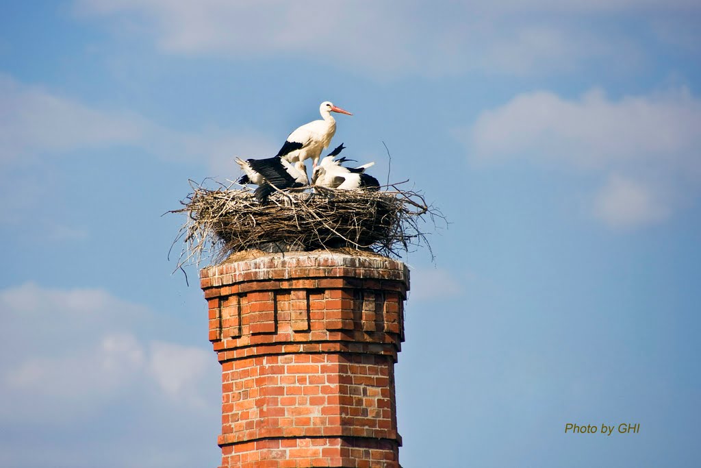 Storchennest alte Ziegelei by ghifunk