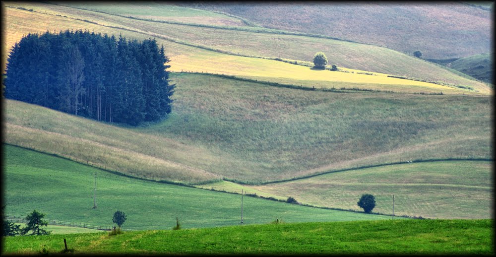 Altopiano d'Asiago by Matteo Pagliaro