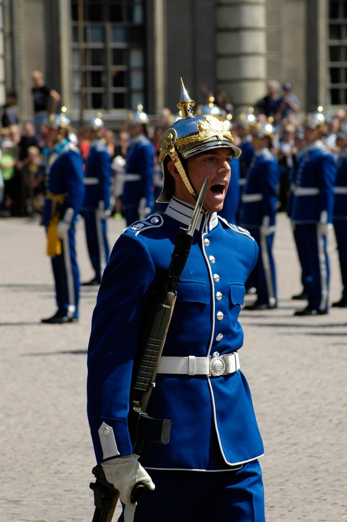 Royal Palace, change of guards by popov-sa