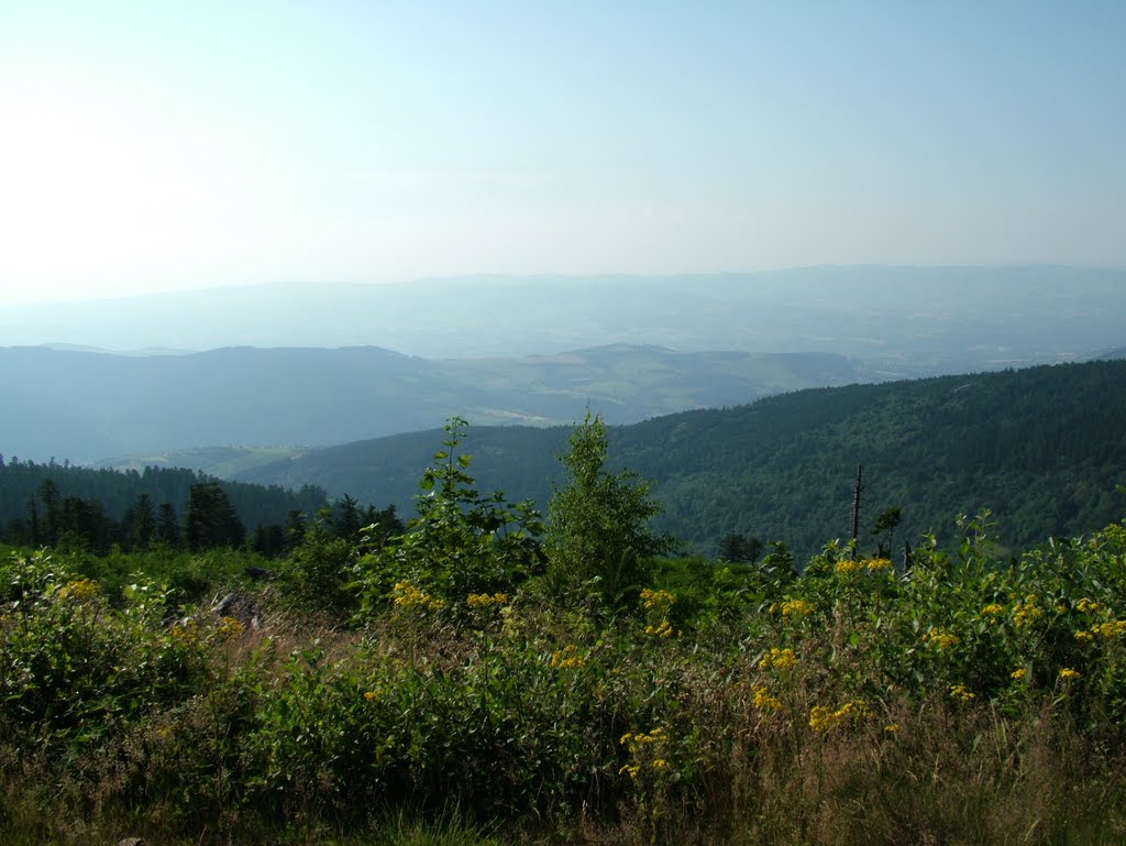 Depuis le Cret de l'oeillon by Bernard DUPUY