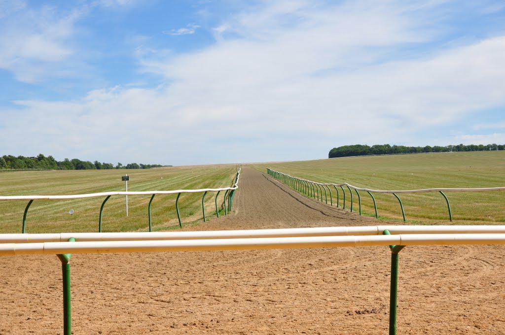 Long Hill Gallop by Steve Barowik