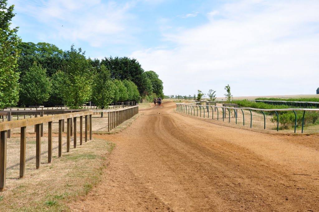 The Gallops July Cup Day 2010 by Steve Barowik