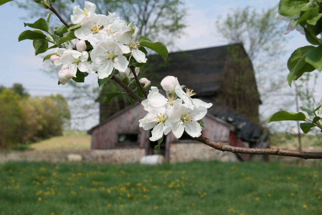 Hollis, NH 03049, USA by CRQPhotography