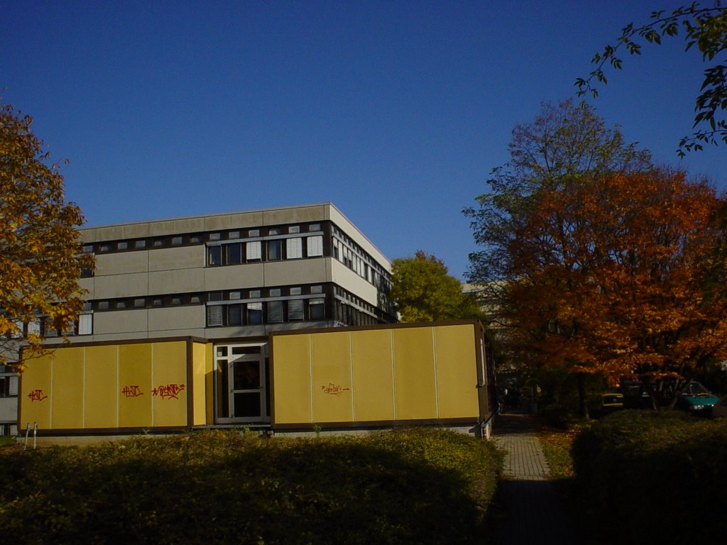 INF 293, University Heidelberg by heaveng