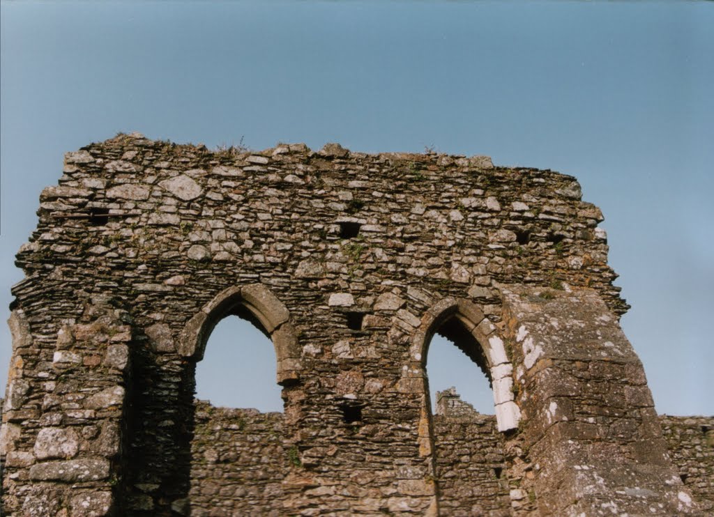 Dunbrody Abbey '03 by Martin Zustak