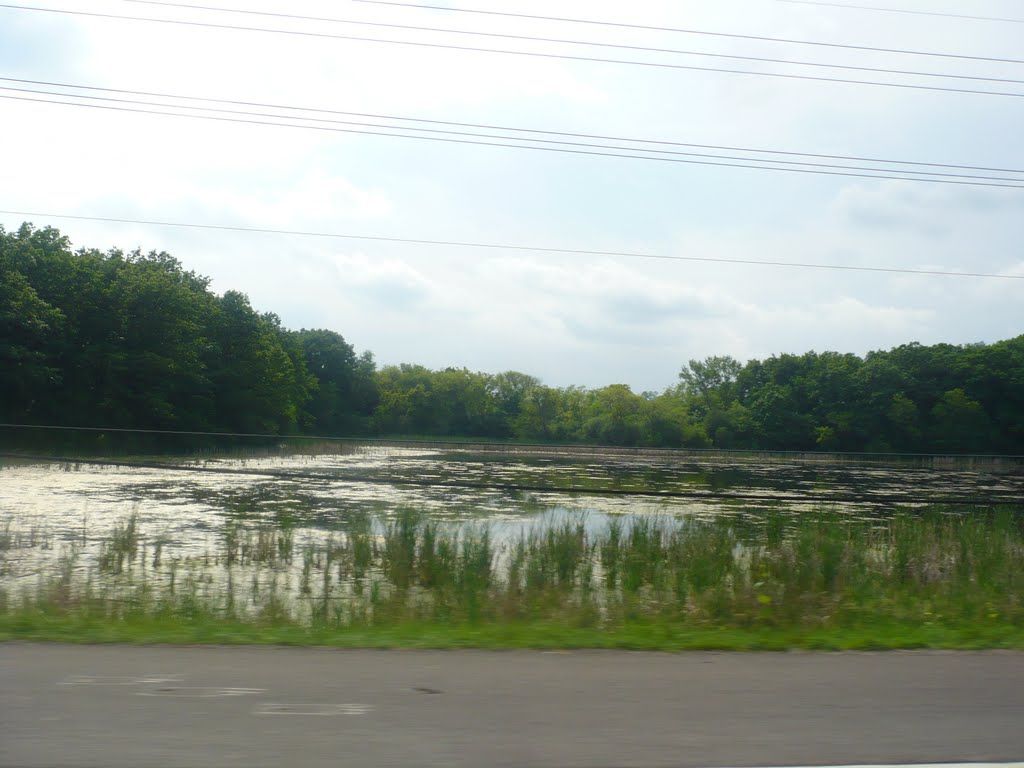 Almont marsh forest preserve ruta 120. by saul flores