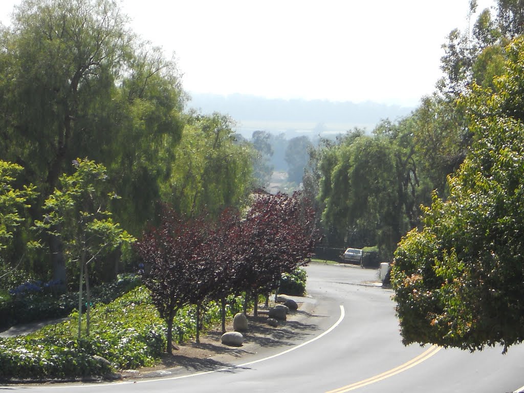 A view of Oxnard in the distance, from Calle Aurora by WorldView2010