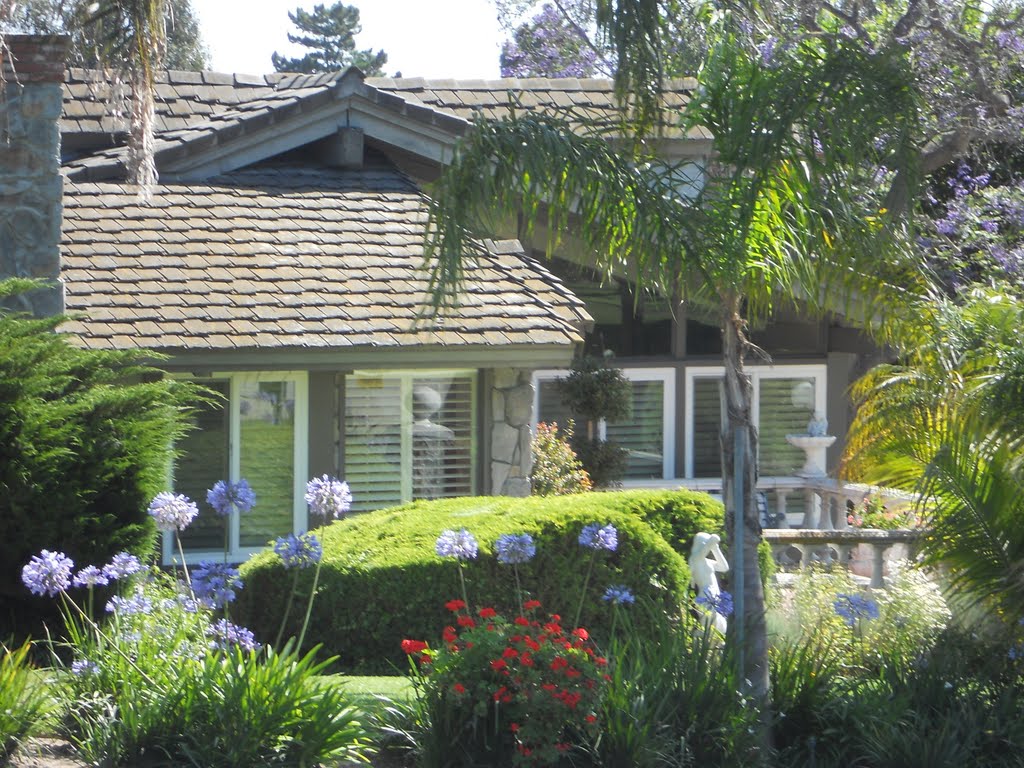 House Hidden Behind Trees on the Corner of Calle Aurora and Avocado by WorldView2010