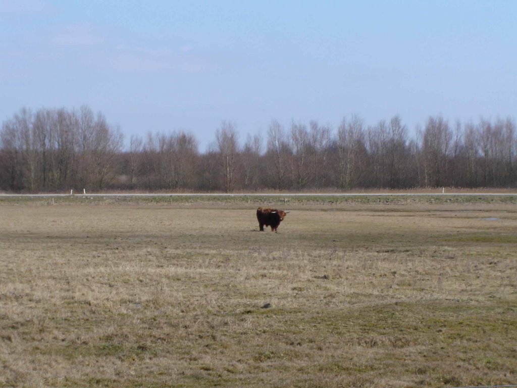 Lauwersmeer by Bert Niemeijer