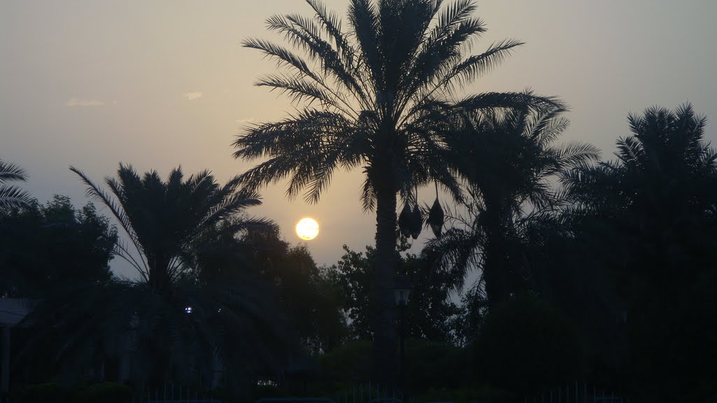 Al Wakrah Park 2010-7-13 by Hamad Albaz