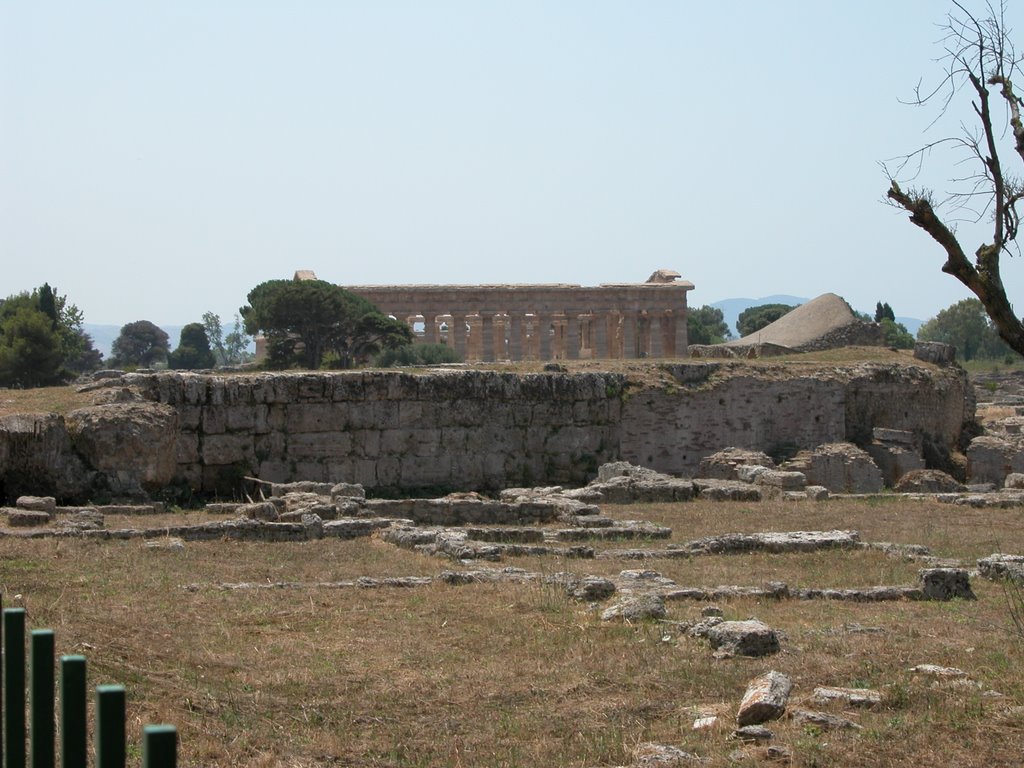 Paestum: Tempio di Nettuno dietro i resti dell'Anfiteatro by Carlo Pelagalli