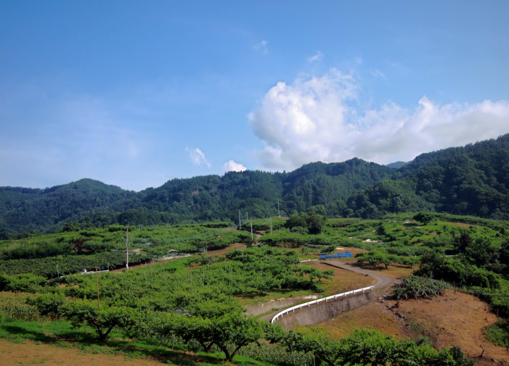 Mitama under Summer clouds by taoy (keep Panoramio)