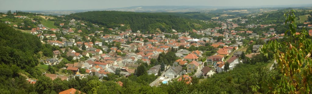 Panoramablick über Wiesen by Michael Pigler