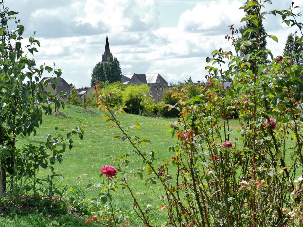 Village of St Sylvain Of Anjou by Denis Goujon