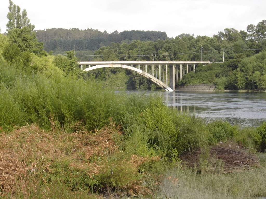 Puente sobre el Río Toltén by Ricardo Martini