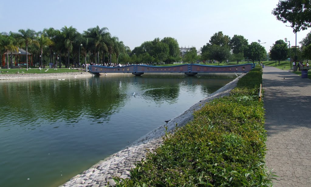 Puente y lago del Parque Explora by ▓ ☻ galloelprimo ☻ ▓