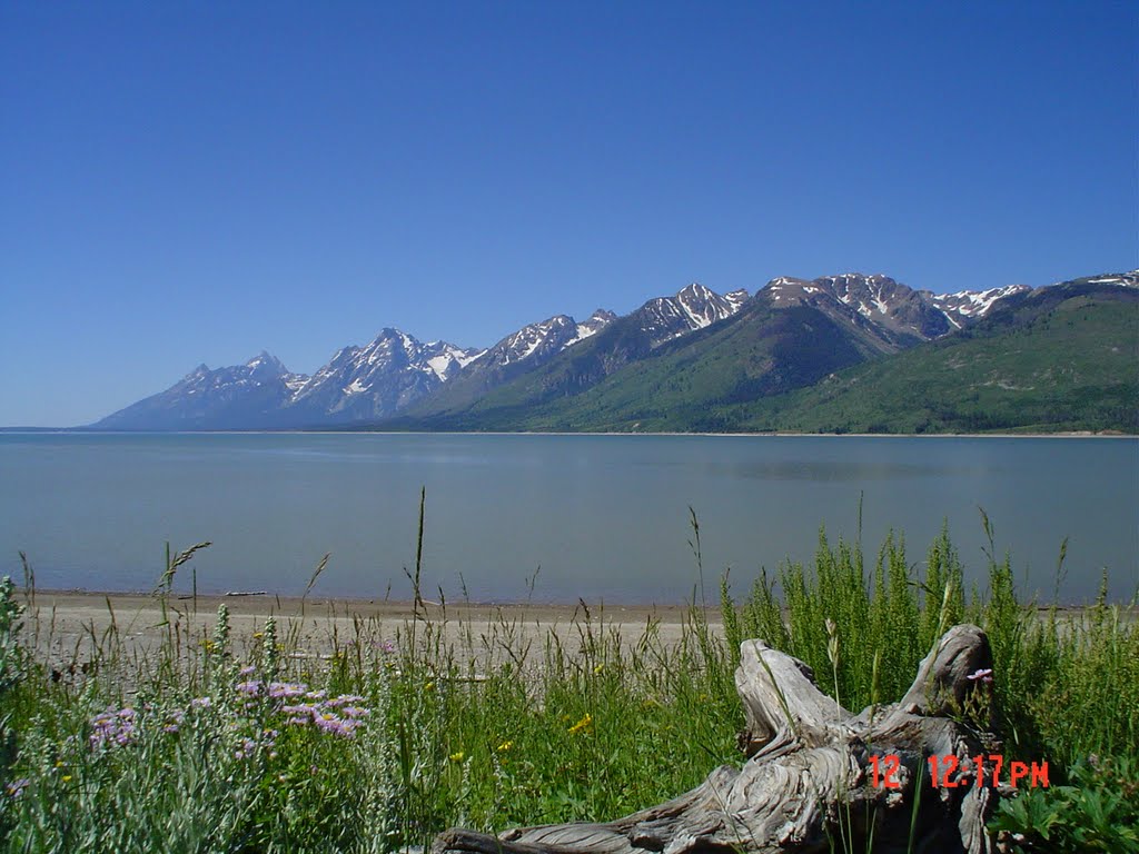 Yellowstone Lake (view form Grand Loop Road) by irishrose85