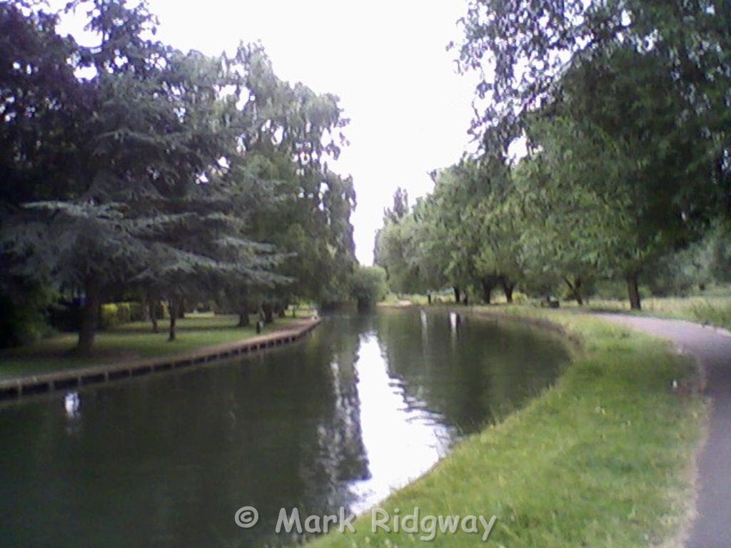 The River Cam by Mark Ridgway