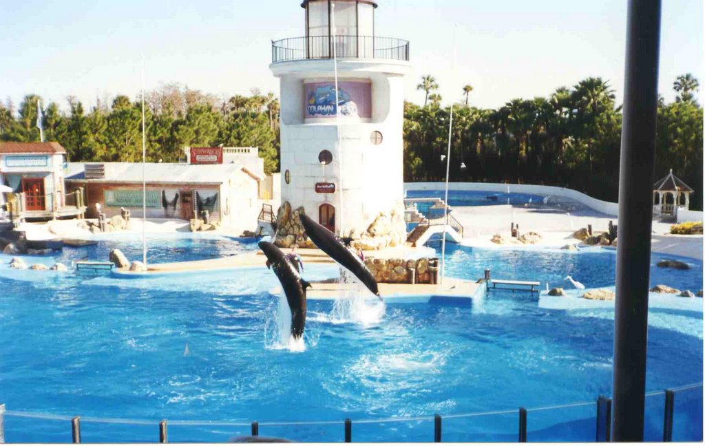 Shamu Show / Show de Shamu en Sea World, Orlando, Florida, USA. by Patricia Santini