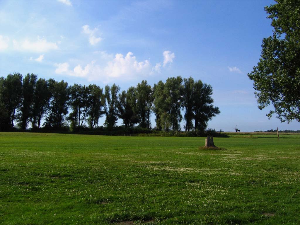 Speelveld by Casper Heijstek & Mirjam Cnossen