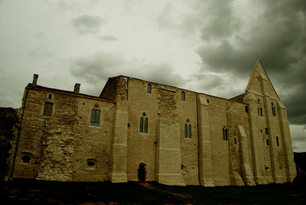 Abbaye de Maillezais, août 2009 by NOYER Gérard