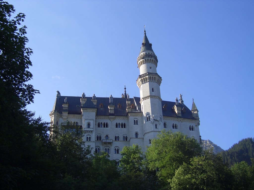 Schloss Neuschwanstein by gustl