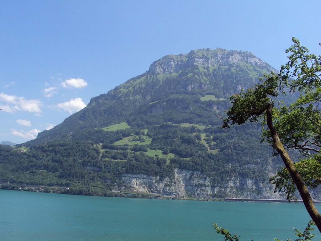 Fronalpstock seen from the Rütli by Olivier Vuigner