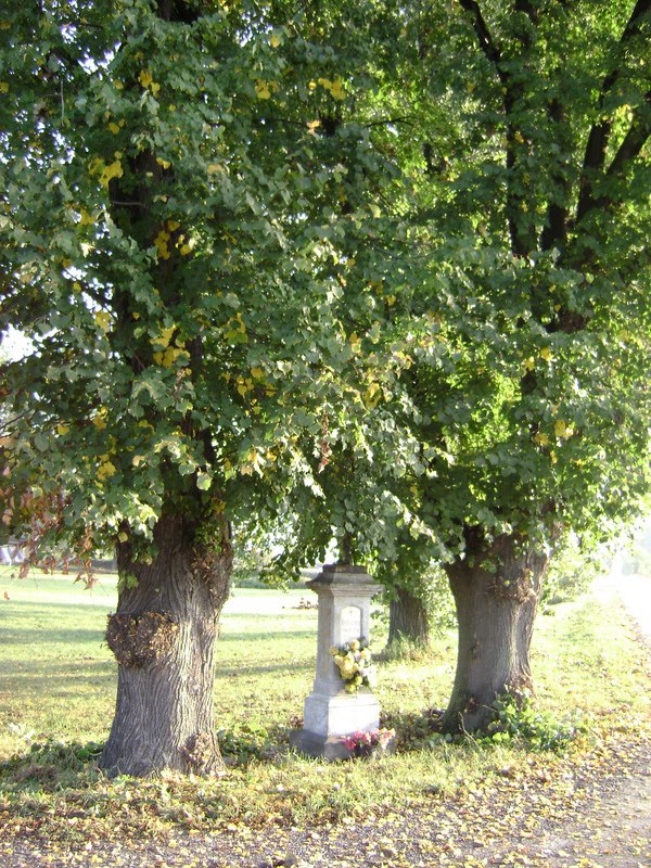 Calvary nearby OLDŘICHOV, Czech rep. by Rostislav Kopeček