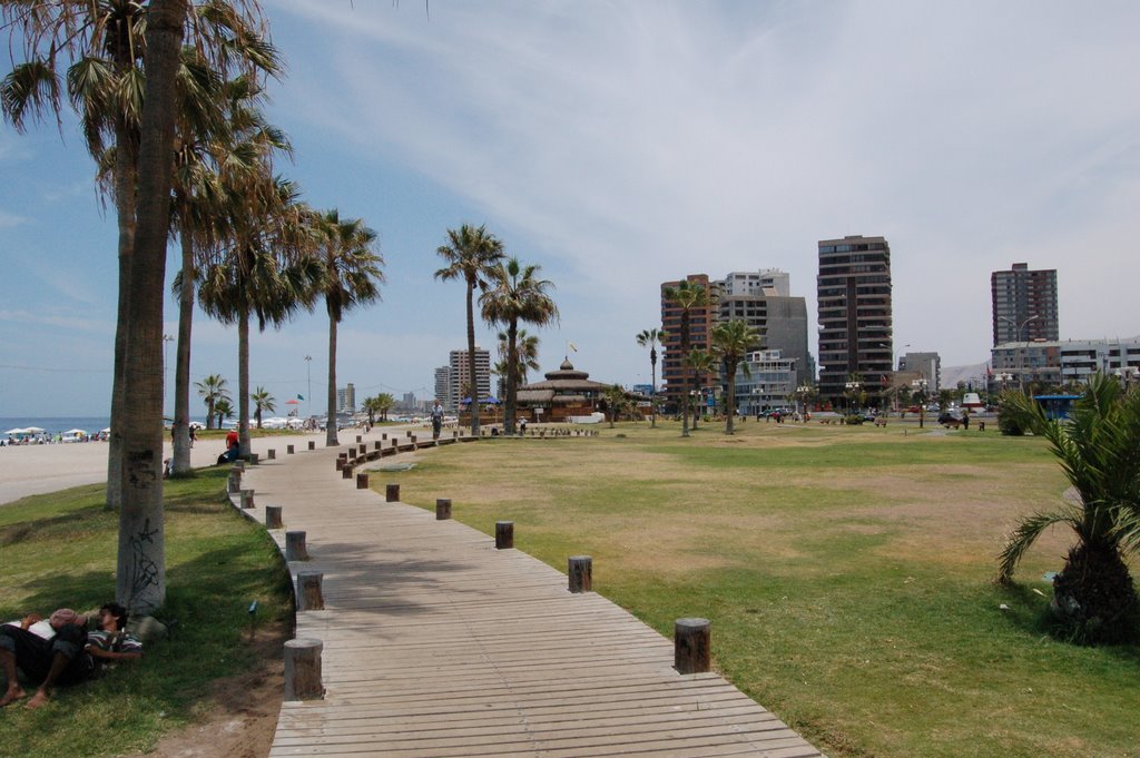 Costanera by Rene de la fuente