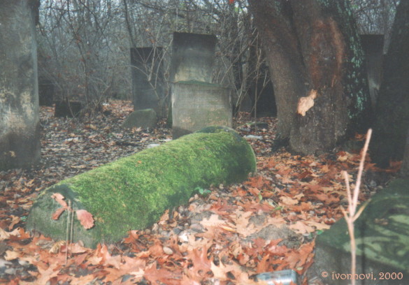 Abandoned 'kirkut' in autumn / Zapomniany kirkut / Vergessener jüdischer Friedhof / قبرستان متروکه کلیمیان لهستان by Ivonna Nowicka