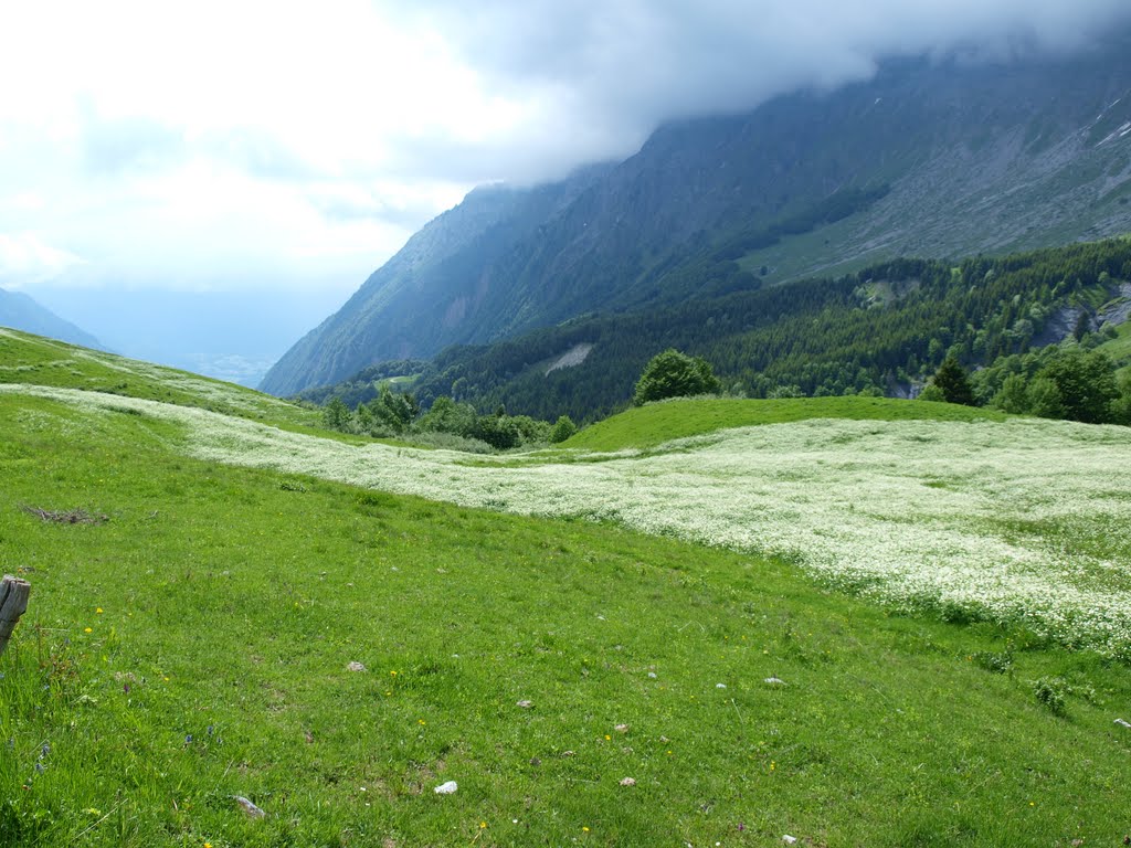 Col de l'Arpettaz by Wim Constant