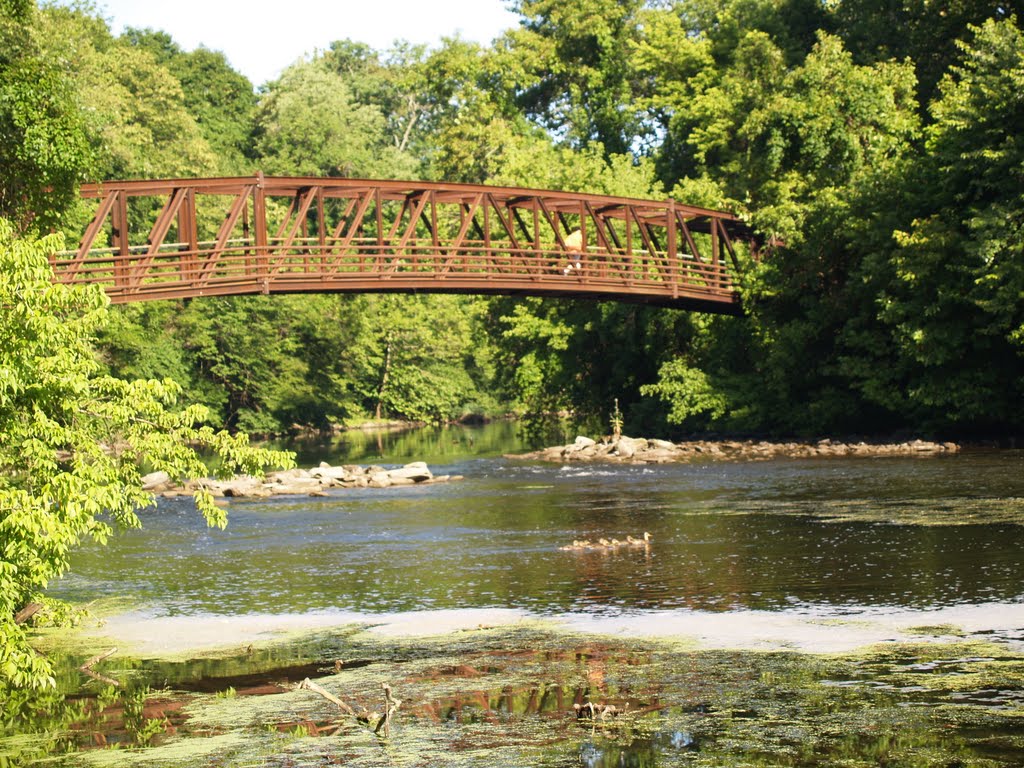 The Confounded Bridge - and Ducks! by johnny4u