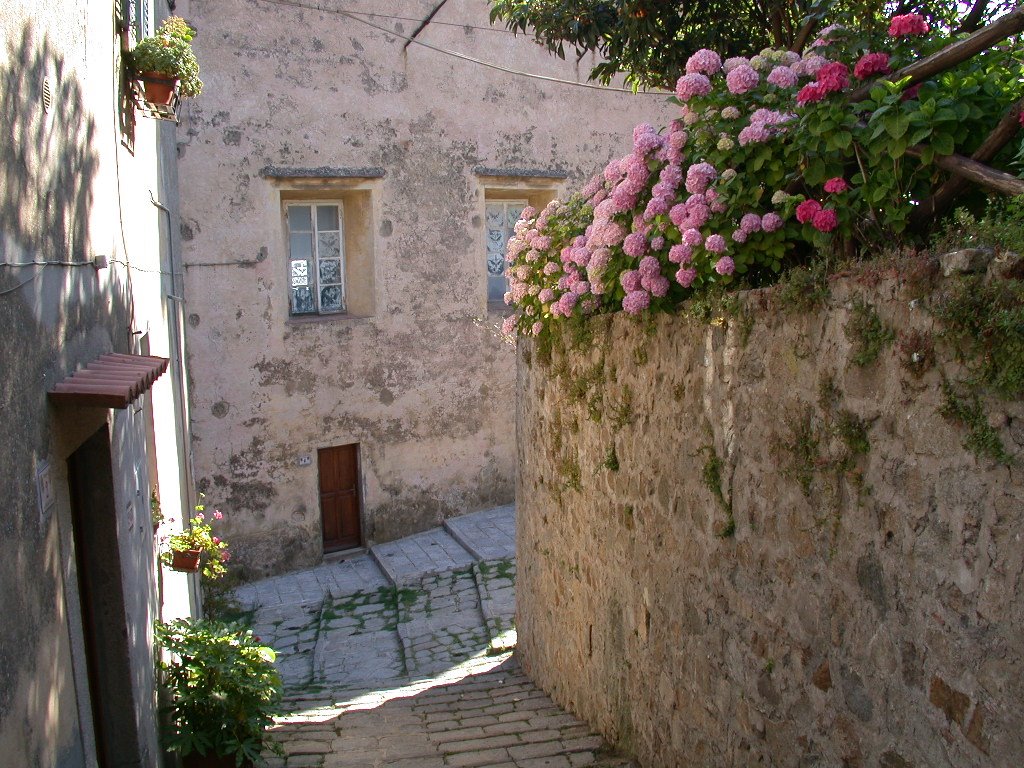 Isola d'Elba, Poggio by Alberto Morini