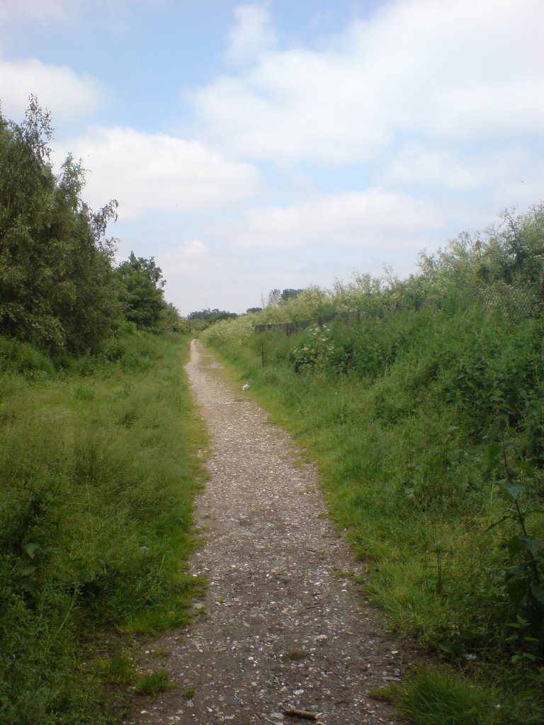 Gravel Path From Beddington Lane by UncleRiotous