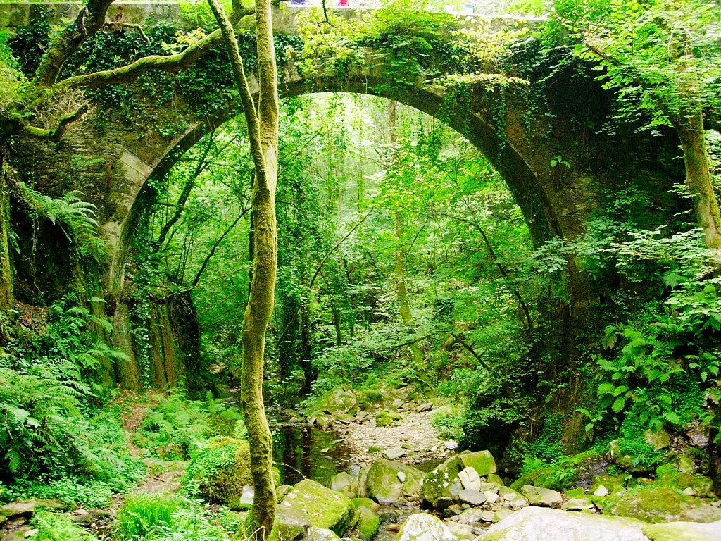 Puente Monasterio de Caaveiro by fdobanano