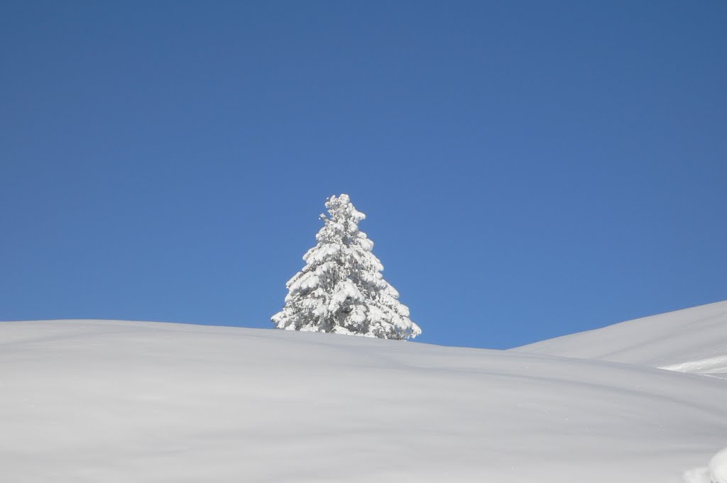 Flumserberg by jan saarloos