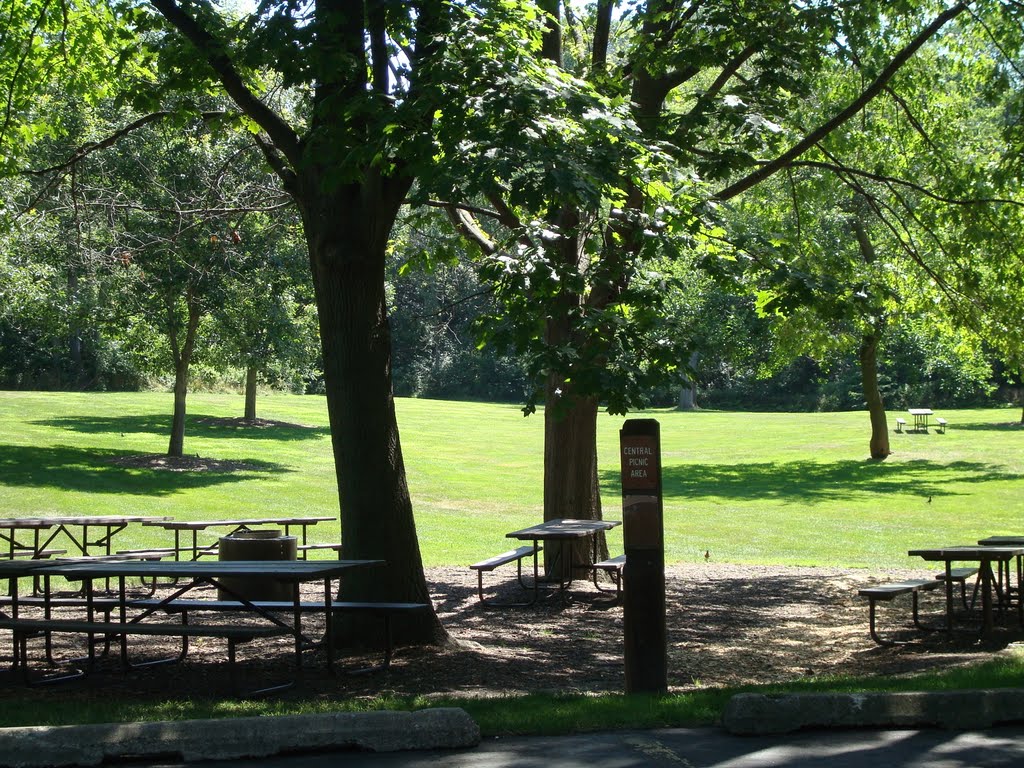 McDowell Grove picnic area by S. Garapolo