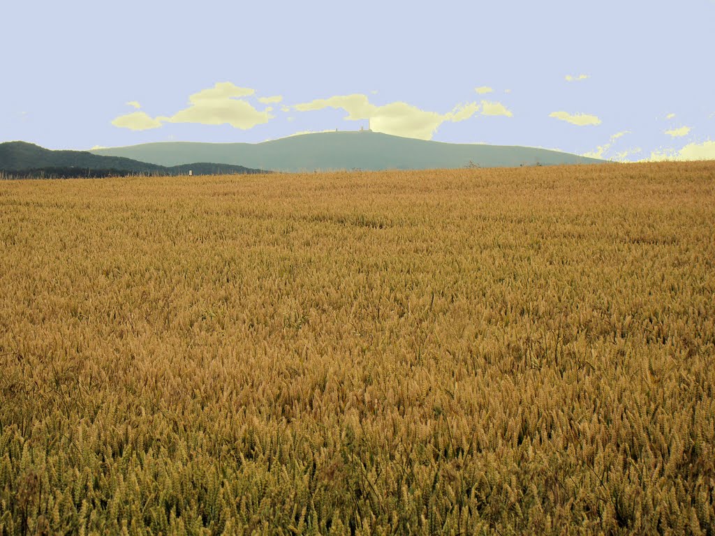 Derenburg, Blick zum Brocken by HarryAusdemharz