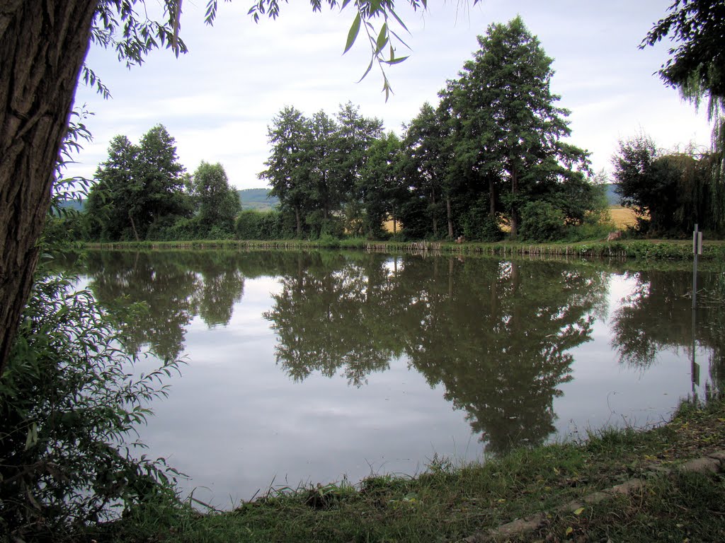 Derenburg, Angelteich am Hellbach by HarryAusdemharz