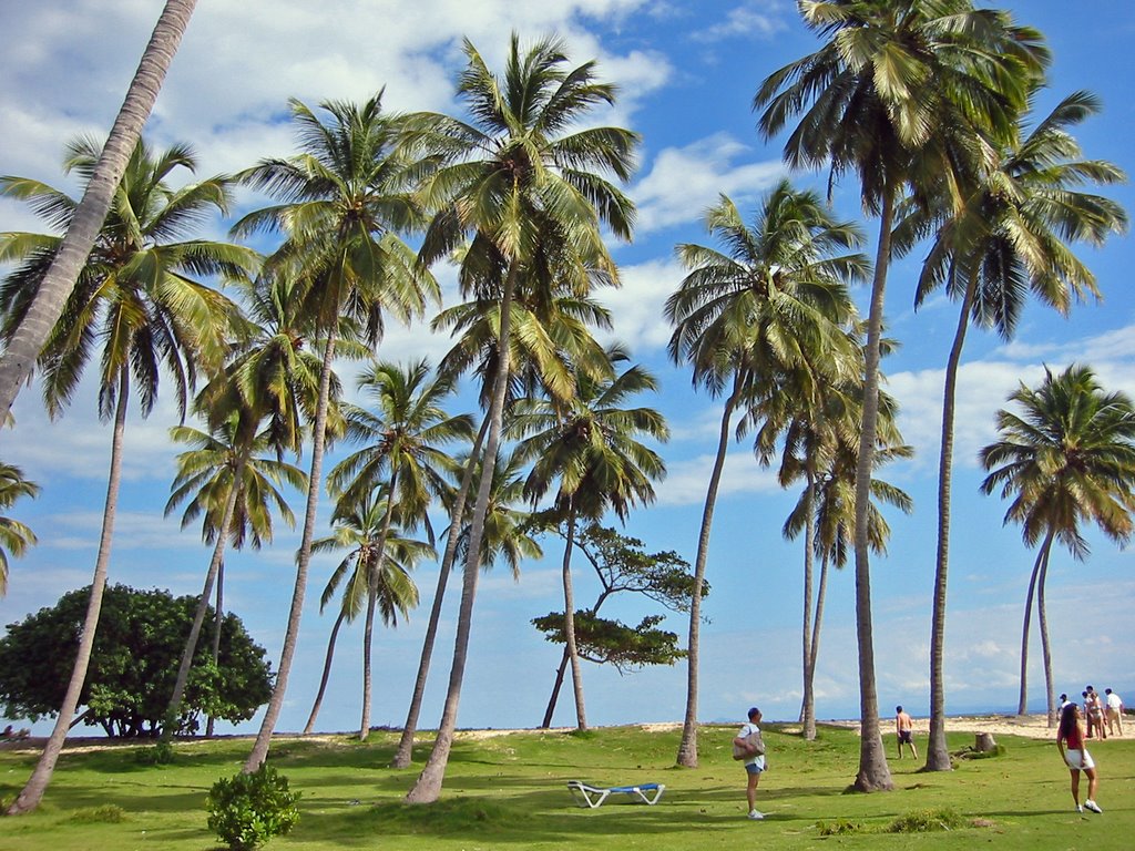 Strand von Isla Cayo Levantado - Feb. 2004 by Roosterkiste