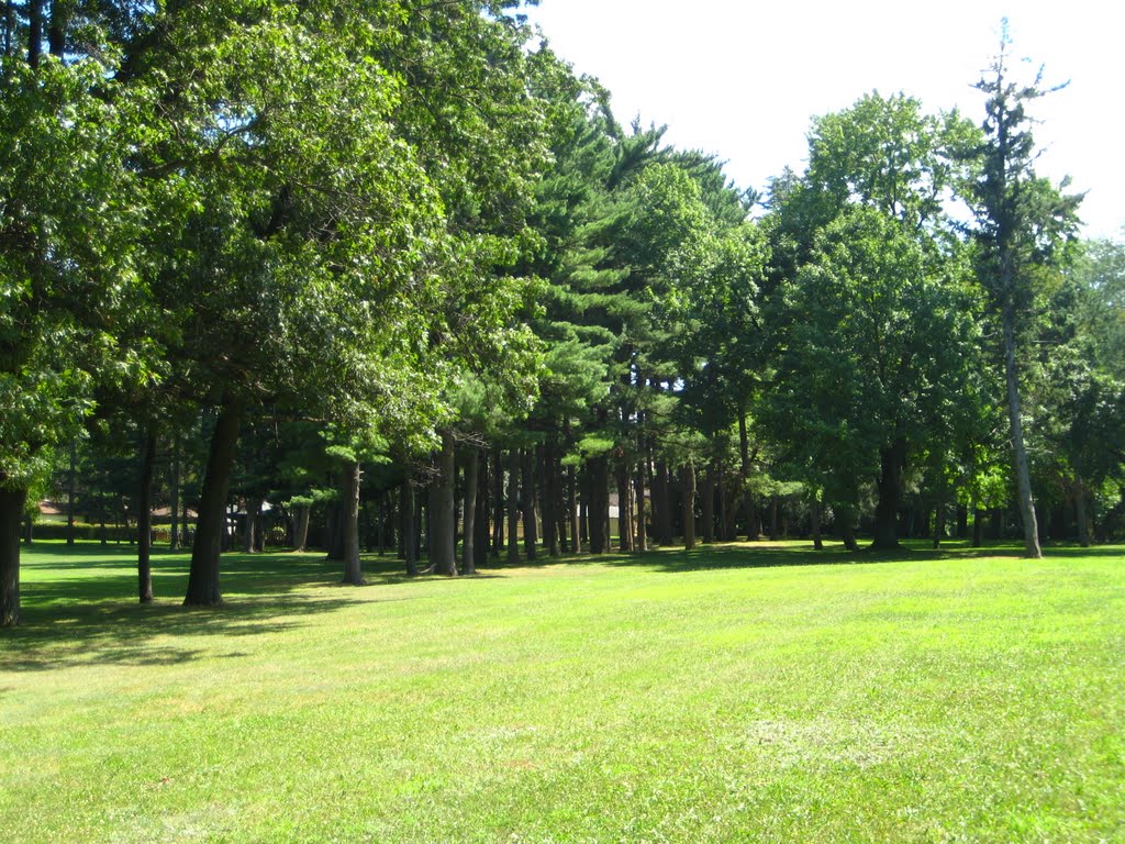 Far end of the open field at the park by janalee