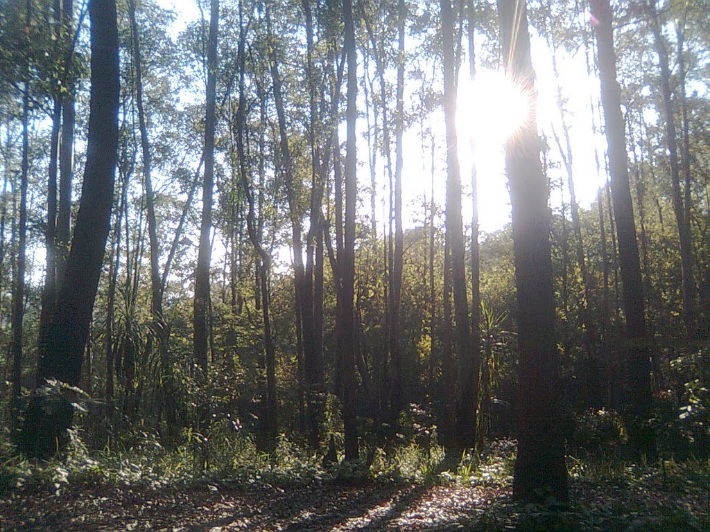 Parque Anhanguera by juliano-almeida