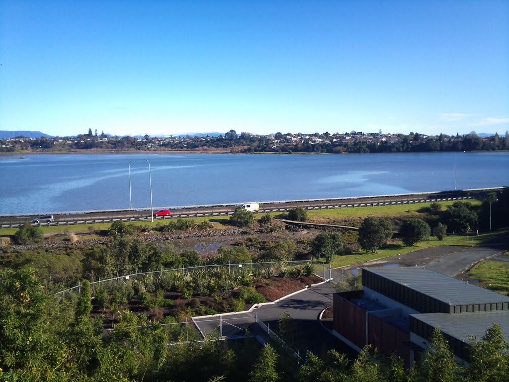 Waikareao Estuary by dampman