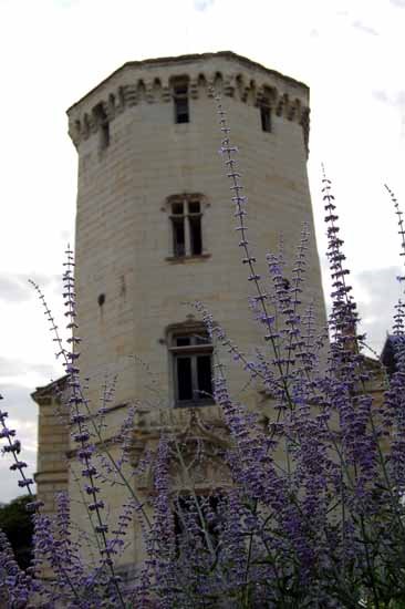 Castillo de St. Aignan by G76 by Gabijm76