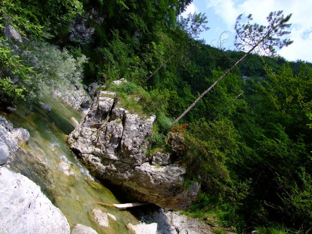 Rock "Skalni mož" in Iška canyon by Vesna Kriznar