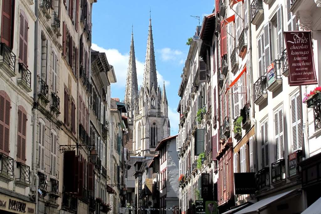 Les deux flèches de la cathédrale by fvexler