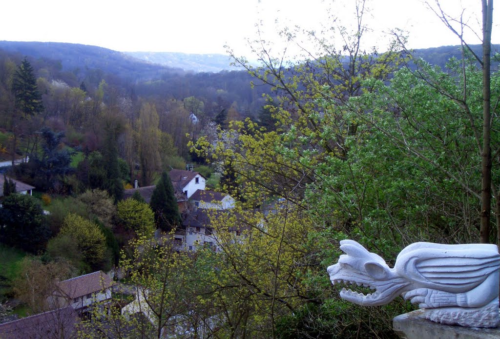 Gragouille et vue sur la vallée de la Mérantaise by aeriapole