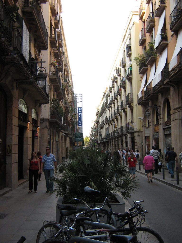 carrer del princesa by lilangeltje