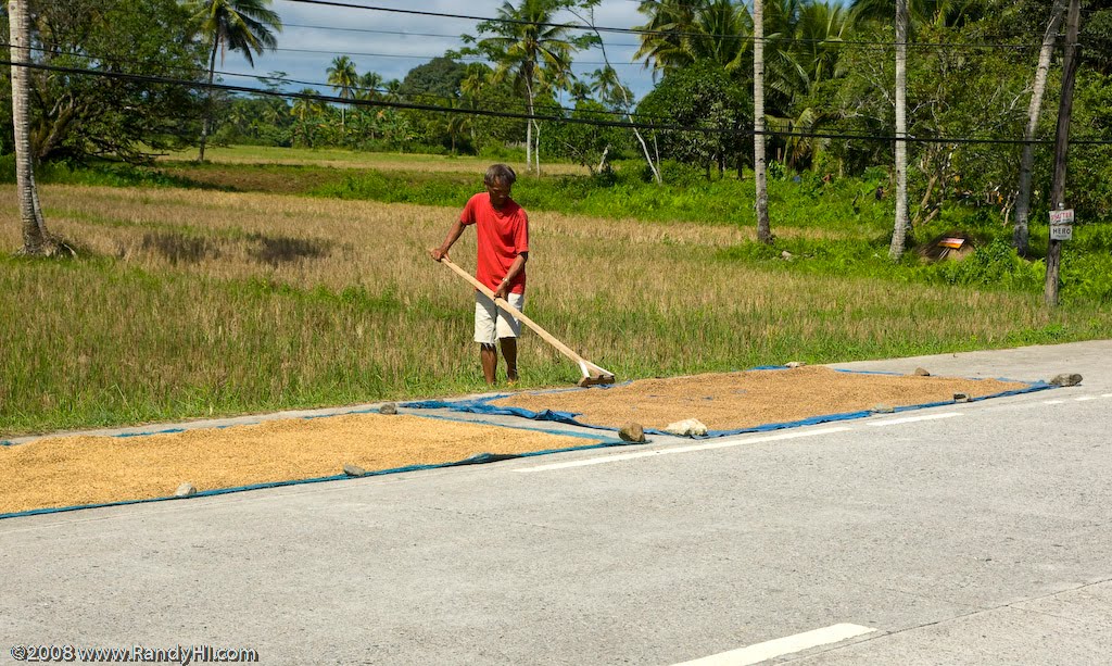 In the Philippines so much life takes place on the road - cars beware! by RandyHI