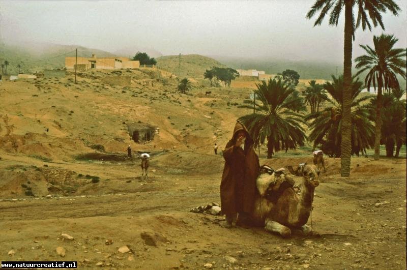 [Matmata, Qābis (Tunisia)] by natuurcreatief